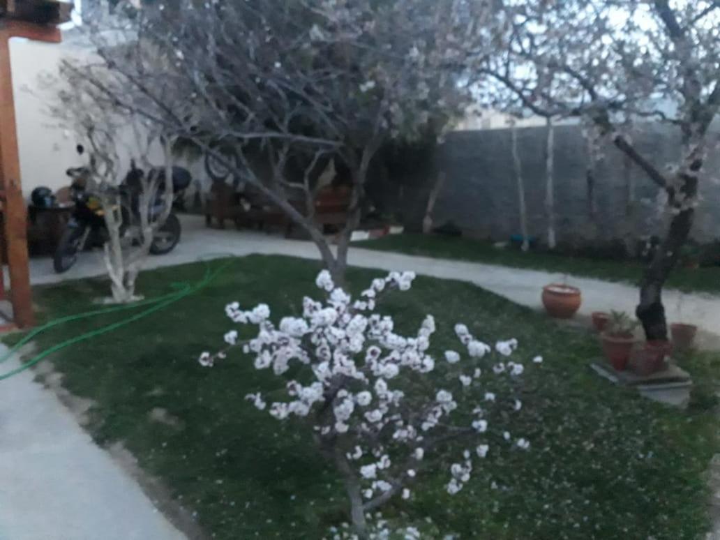 Rada Tilly Apart Hotel מראה חיצוני תמונה
